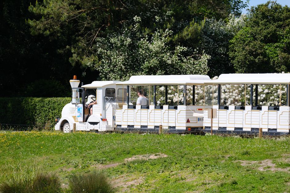 A charming tourist train travels through lush gardens in Fontainebleau, France on a sunny