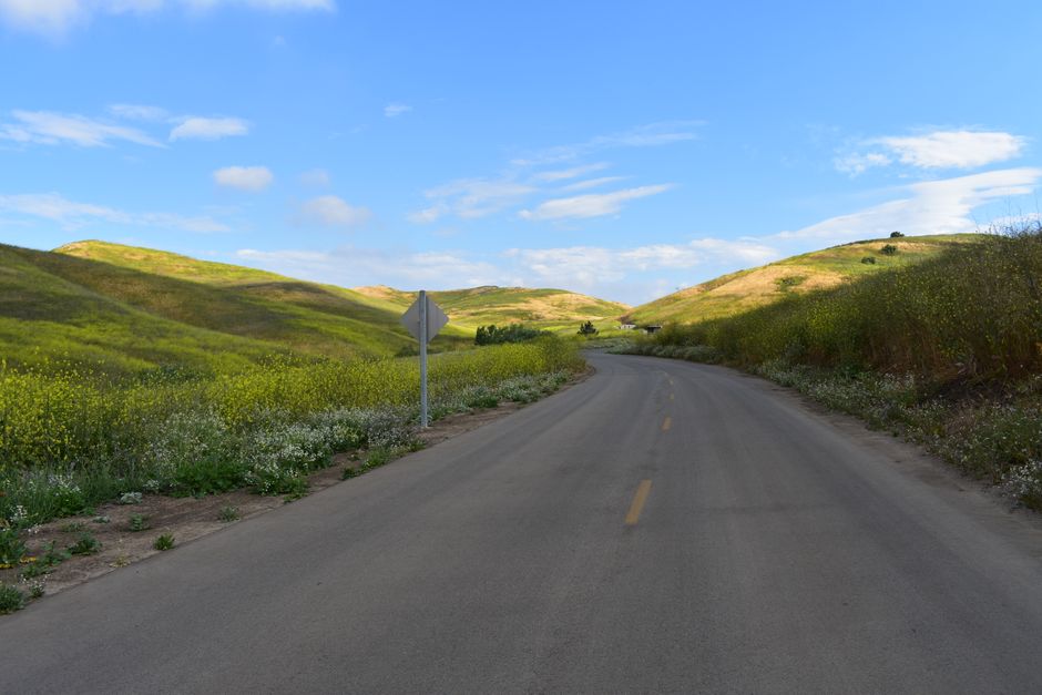 A peaceful country road winding through lush green hills under a clear blue sky.