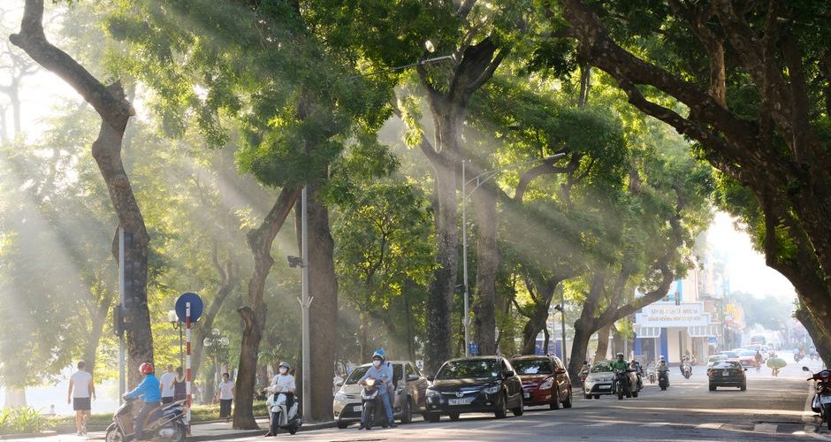 August Shade Walks in Southern Europe, Made Local