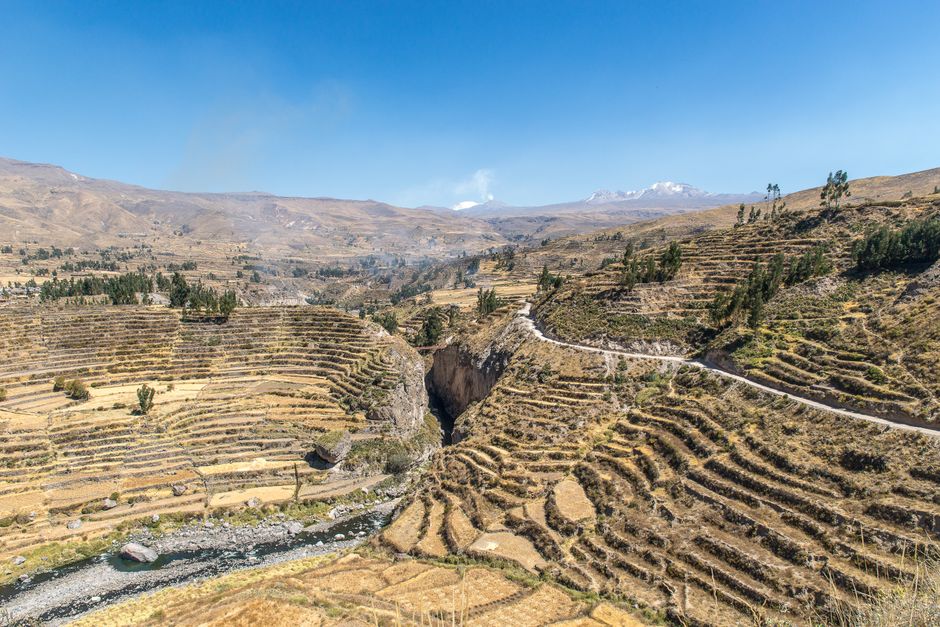 Aerial view of terraced fields and mountain scenery under a clear blue sky.
