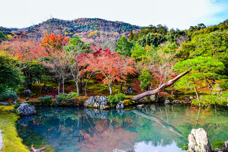 Tranquil Japanese garden scene with colorful autumn leaves reflecting in a peaceful pond.