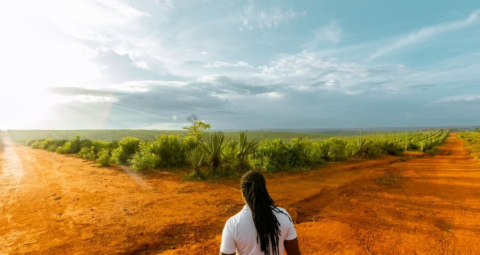 Solo Travel New Zealand Mistakes: Solo Travel New Zealand: 8 Mistakes That Cost You More Than Money