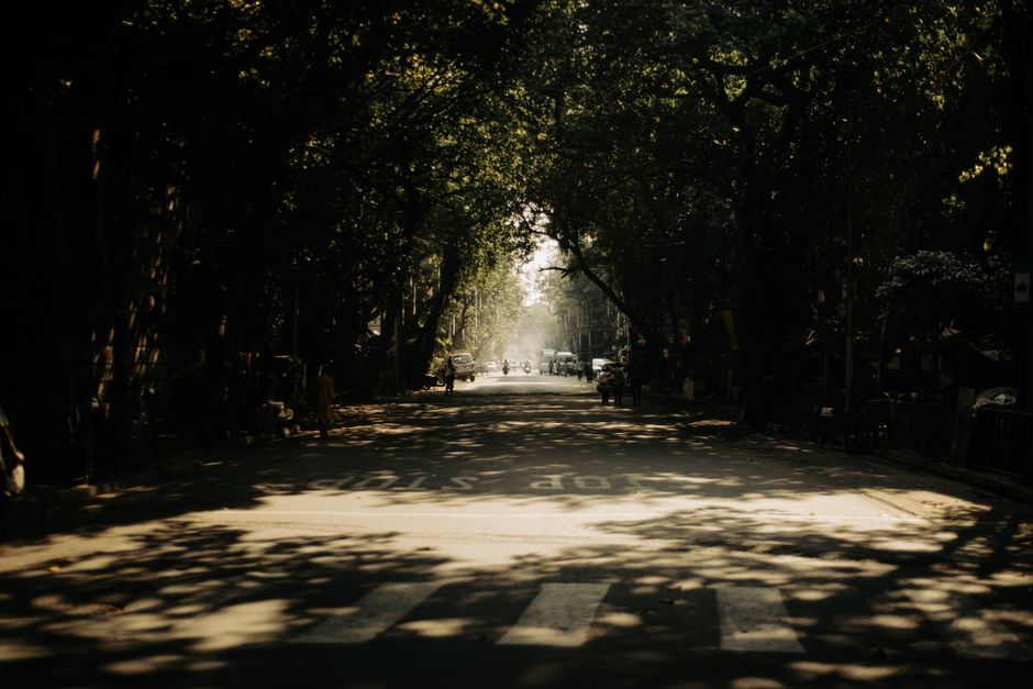 Sunlight pierces through a tree-lined urban street casting shadows and illuminating distan